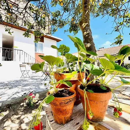 Do Alto - Fao Hostel