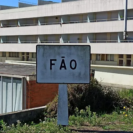 호스텔 Do Alto - Fao