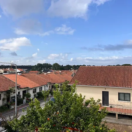 Do Alto - Fao