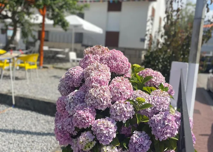 Do Alto - Fao 호스텔